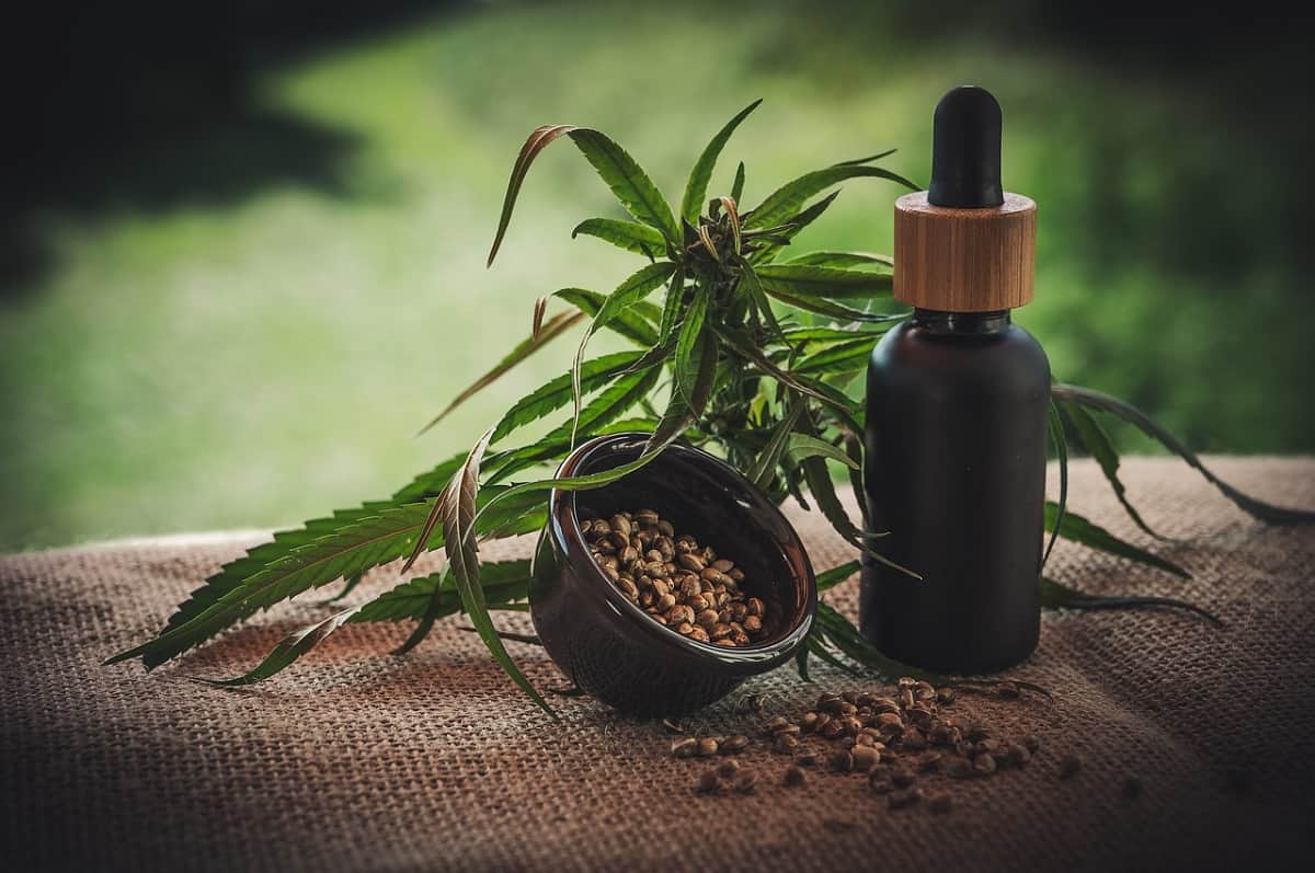 When Buying Cannabidiol? Things to Know