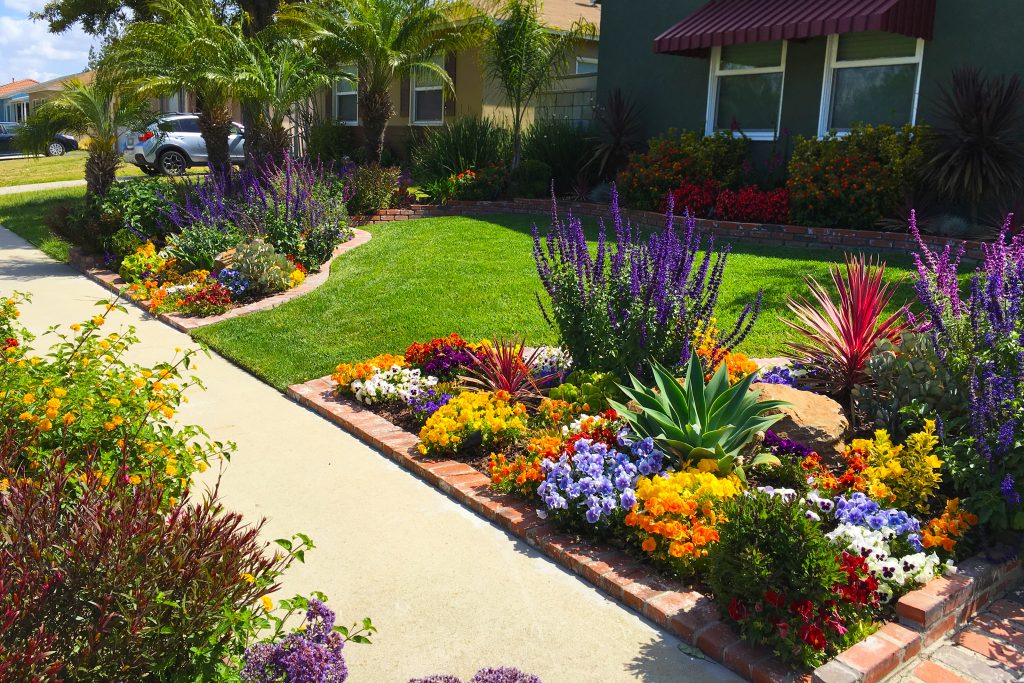 Discover the best landscapers in Victoria BC
