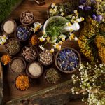 Exploring the Historical Significance of The Lost Book of Herbal Remedies
