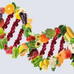 The Connection Between Diet and Health in Dr. Joseph Mercola's Philosophy